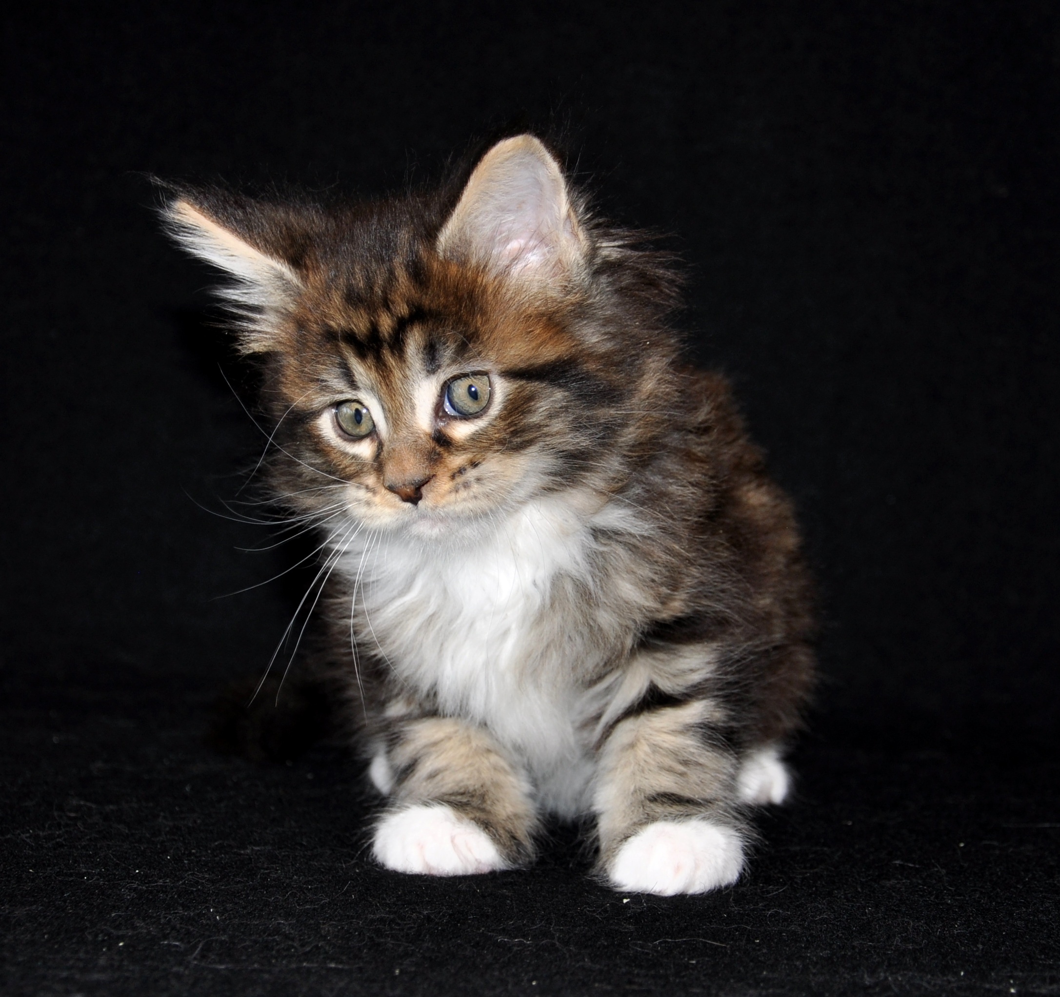 Хоть я и маленький, а темноты не боюсь