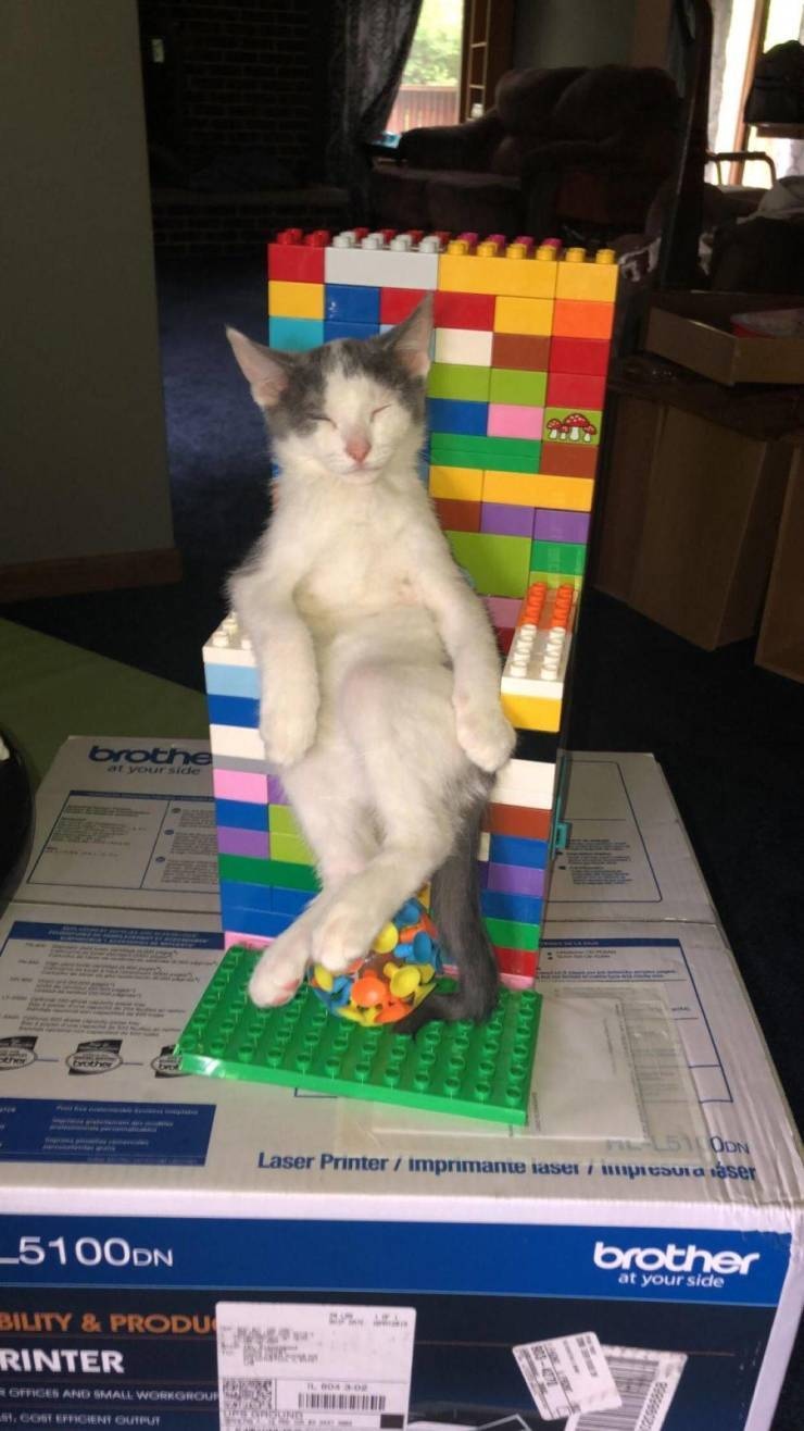 Его Величество, отдыхает