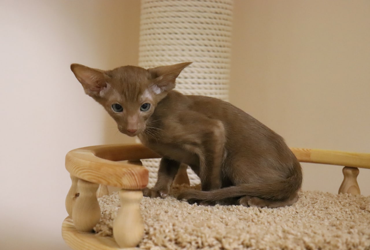 Я сегодня, ни с кем не дружу