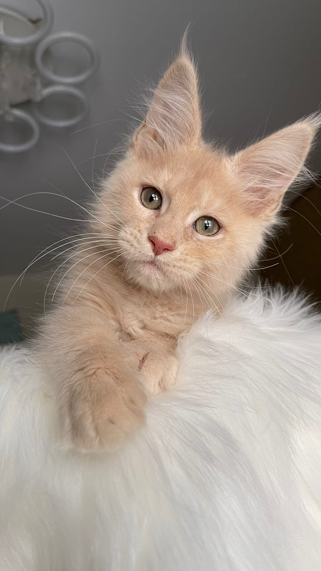 Красавчик, глаз не отведёшь