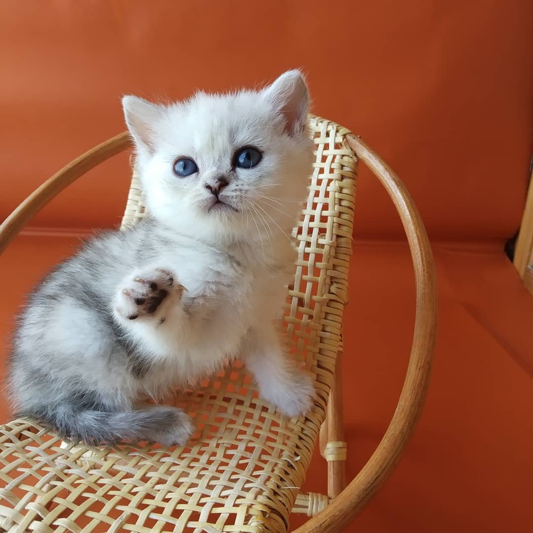 Я бы Вас пригласила, но здесь места мало