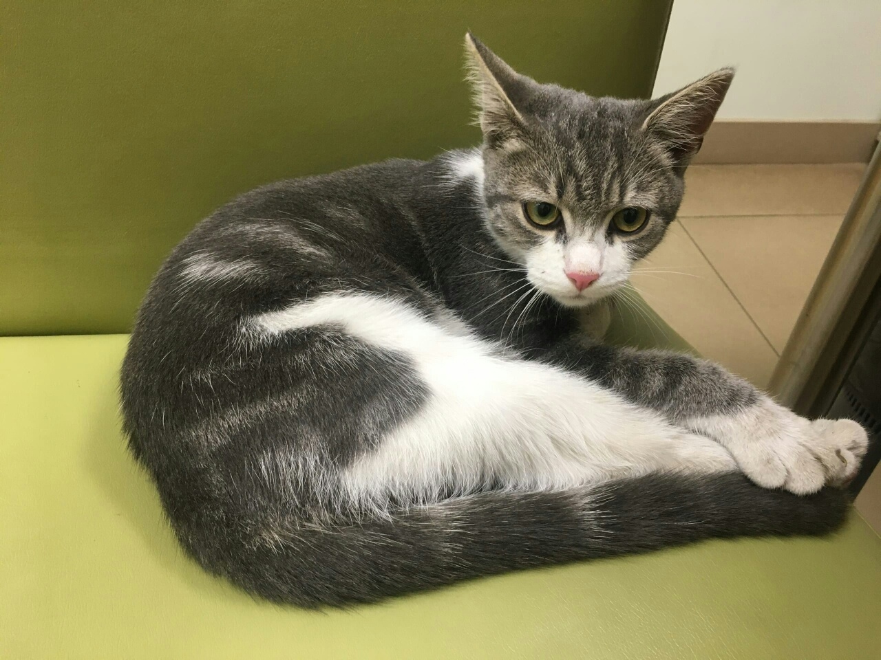 У меня сегодня много дел, как всё успеть