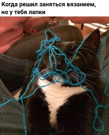 Ну, я хотя бы попробовал