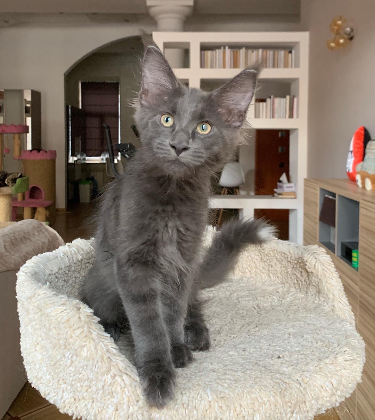 Кто проснулся спозаранку, тот никому спать не даёт