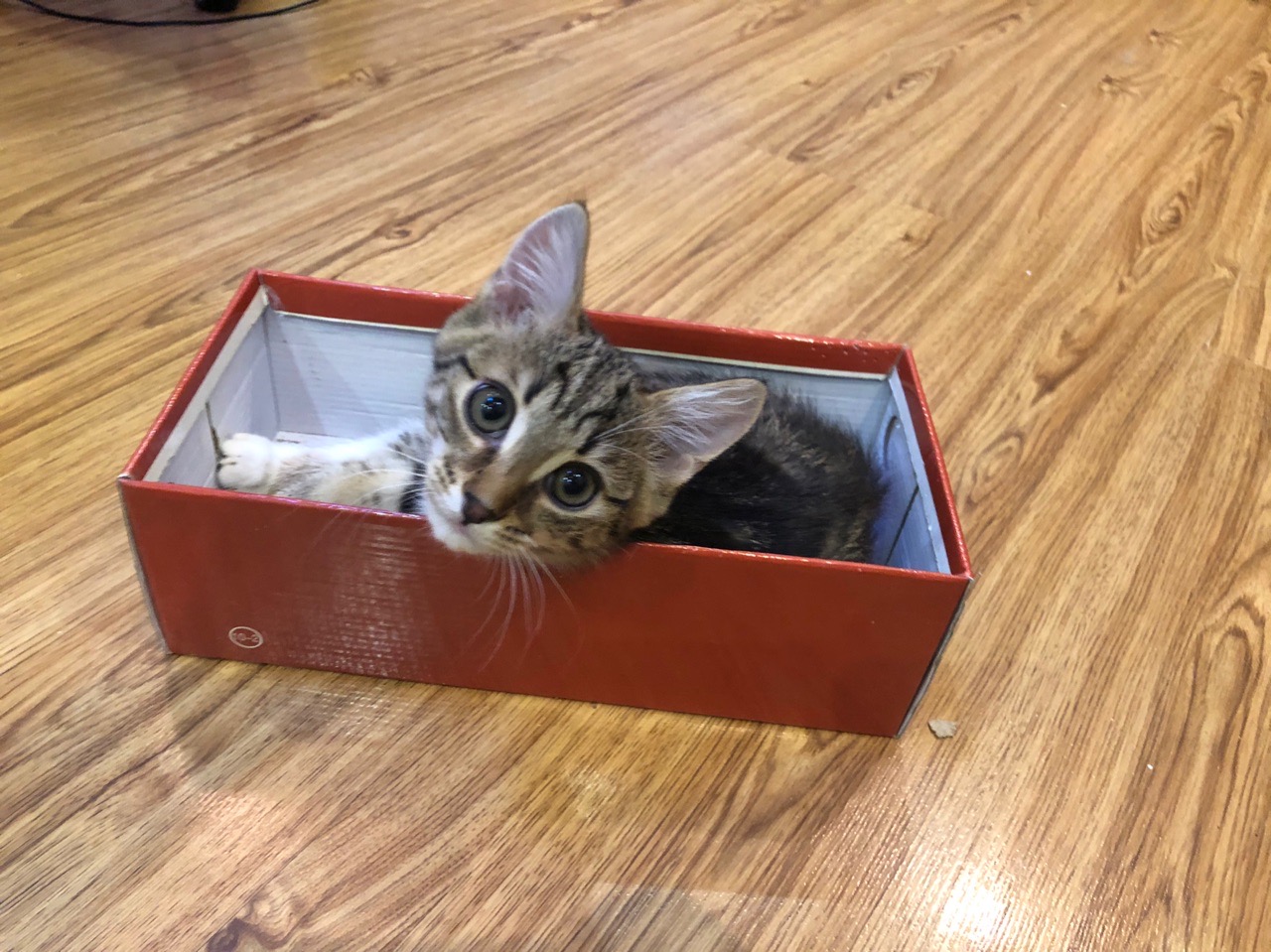 Это моя коробка, я первый её занял