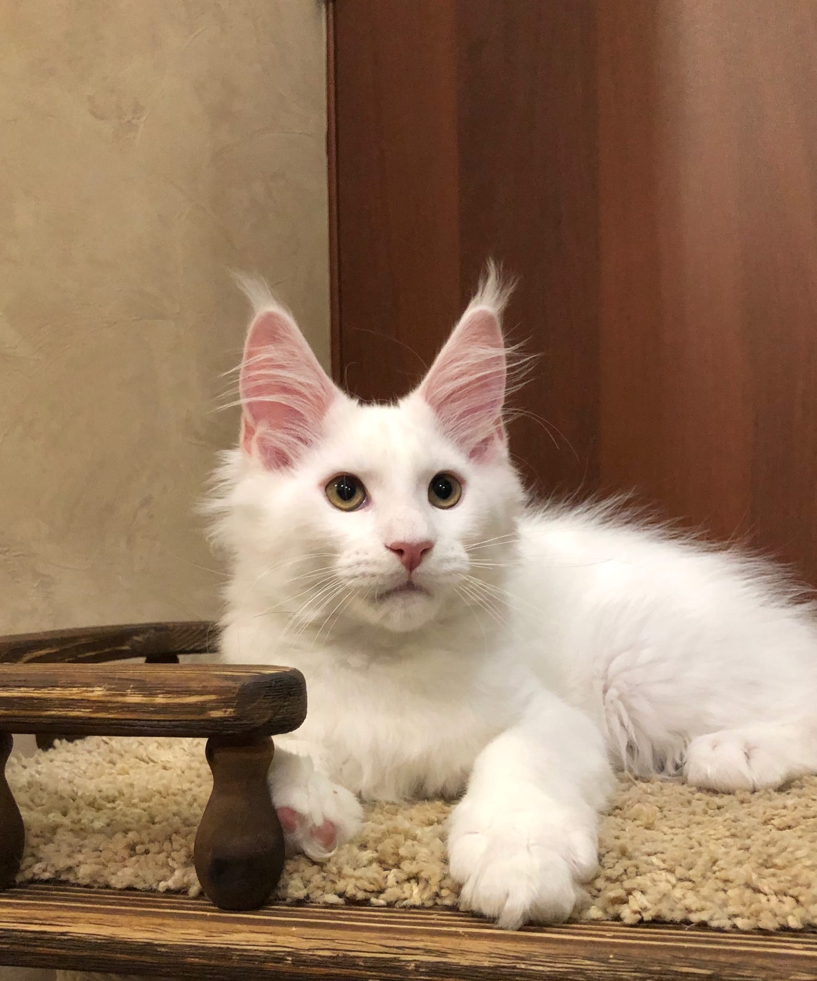 Я живу хорошо, просто замечательно