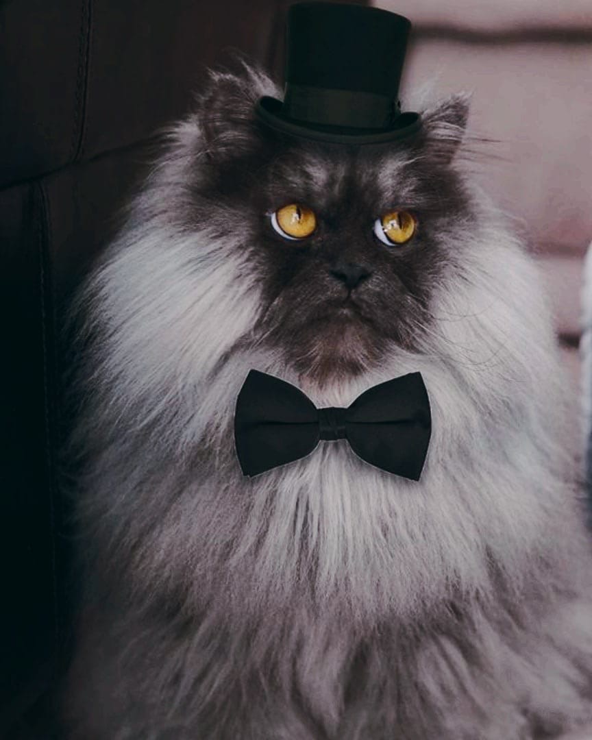 Господа, давайте вести себя прилично