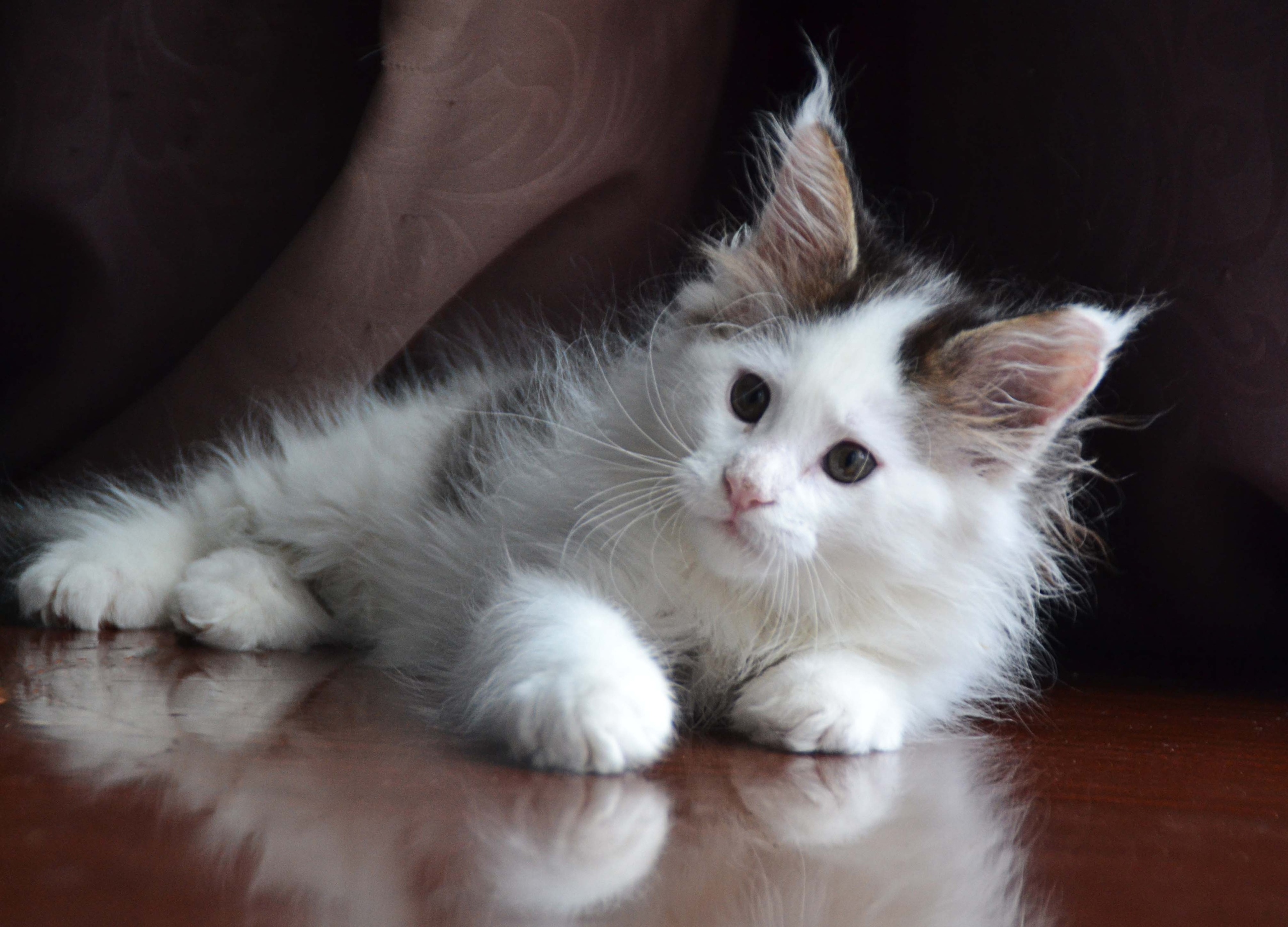 Ничего не хочется, даже играть