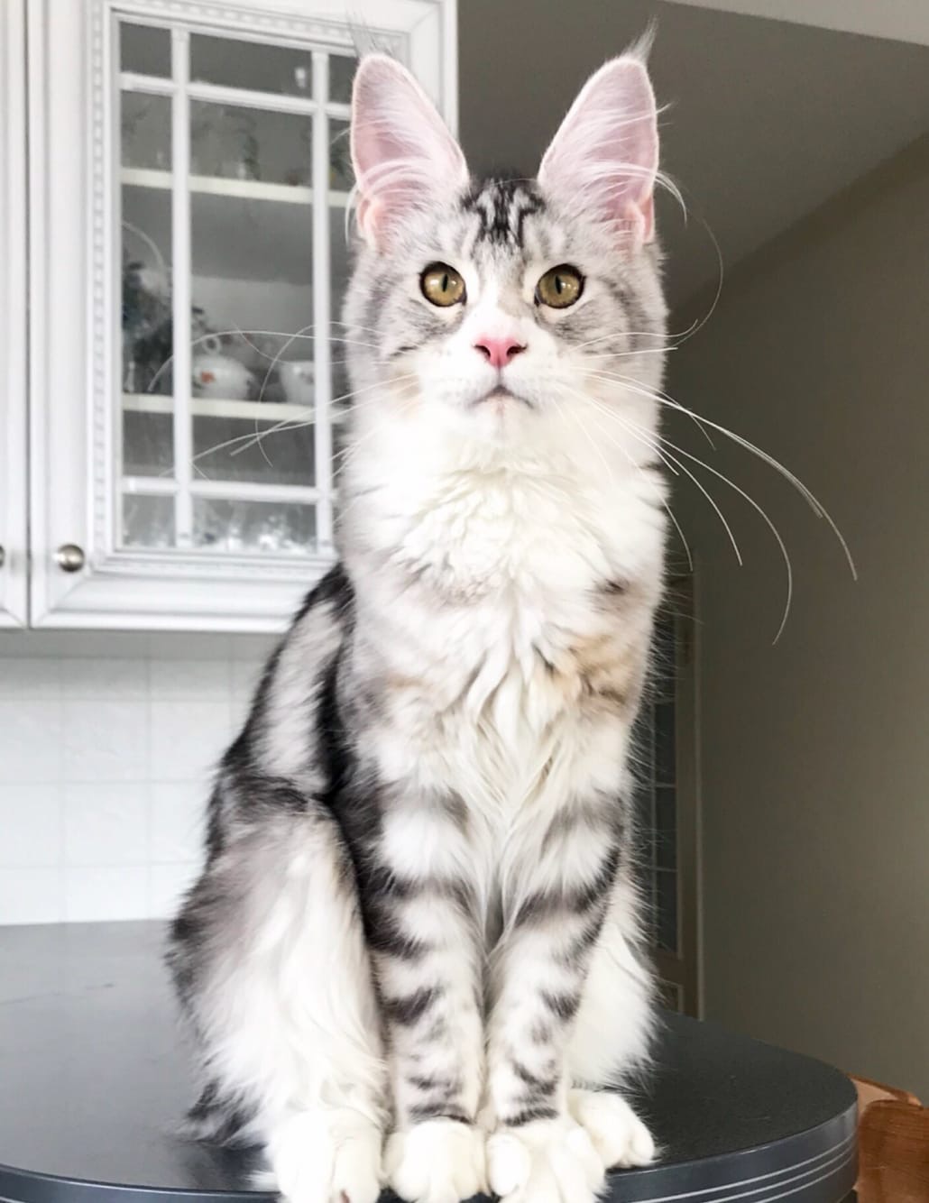 Уже обед, а завтрака всё нет