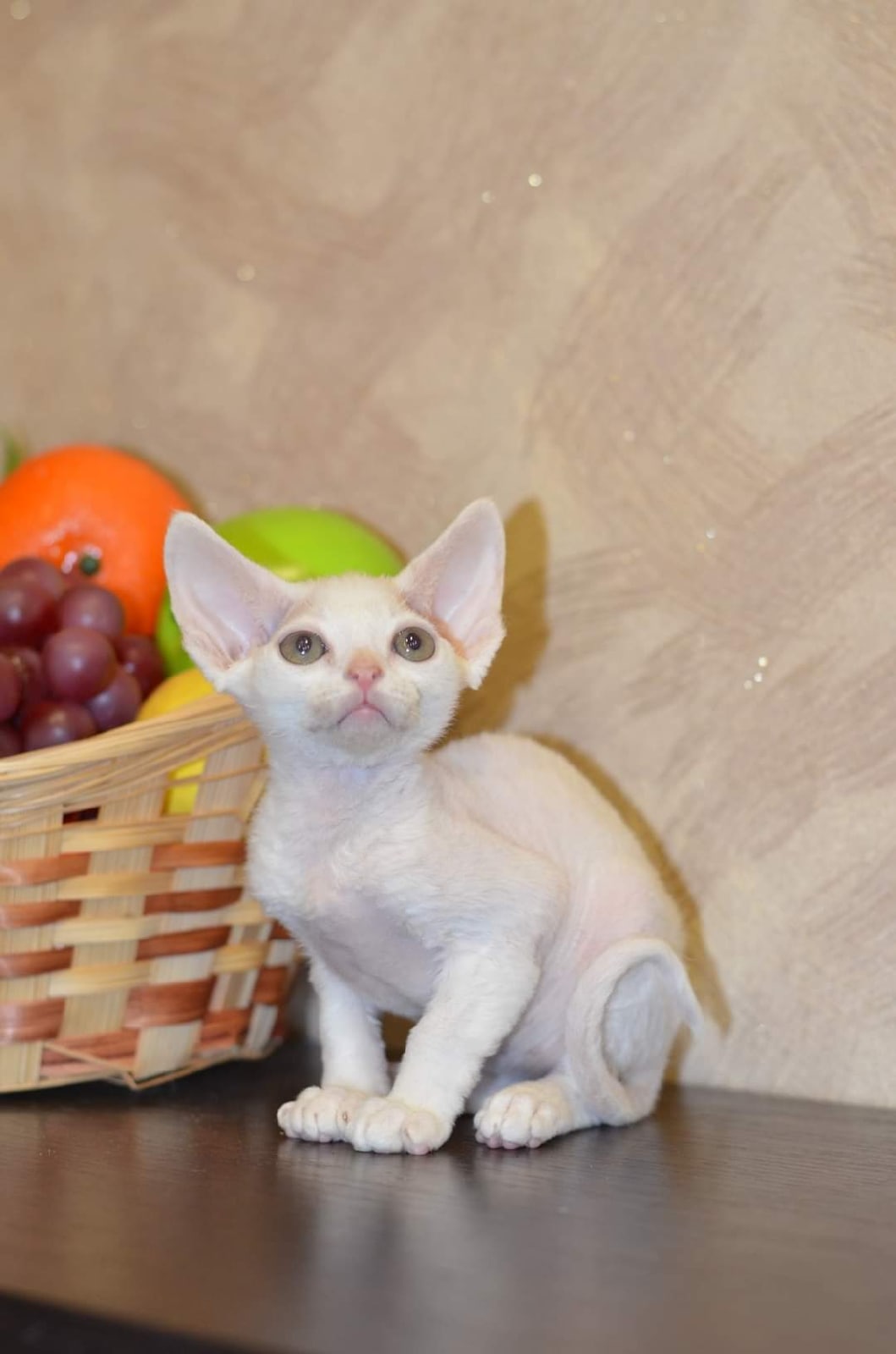 Не ругайтесь, я искал чем подкрепиться