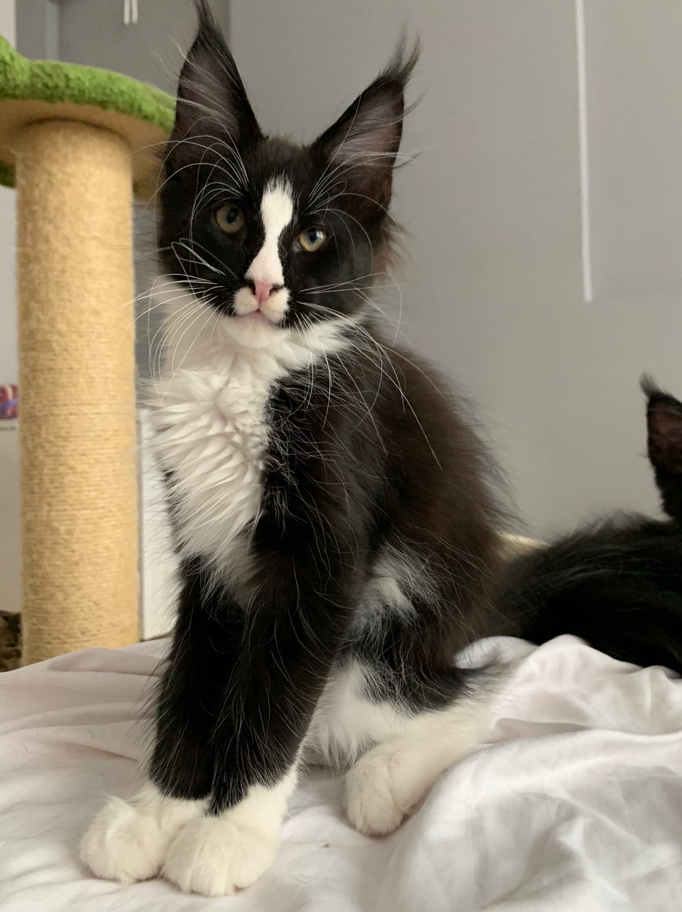 Сегодня, игручесть у меня - отсутствует