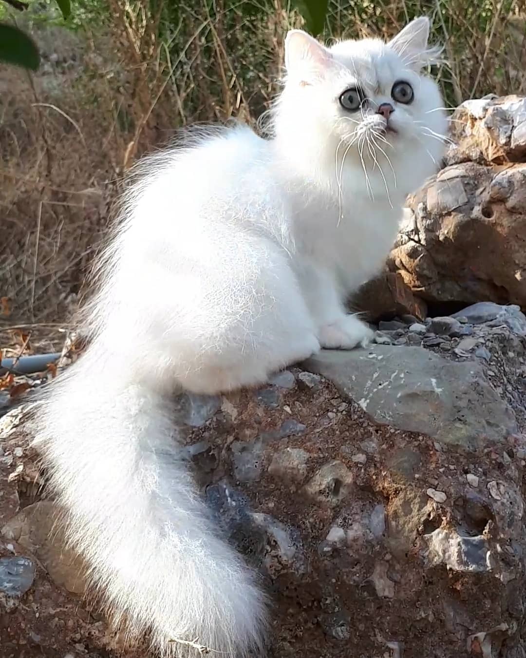 Я на такой природе - гулять не умею, поехали домой