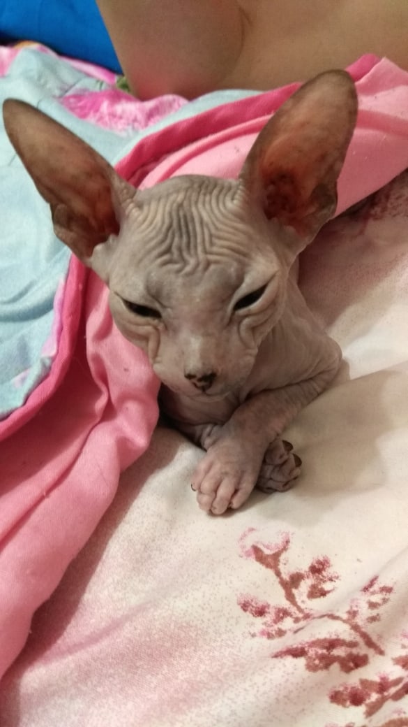 Холодно, грею попку под одеялом