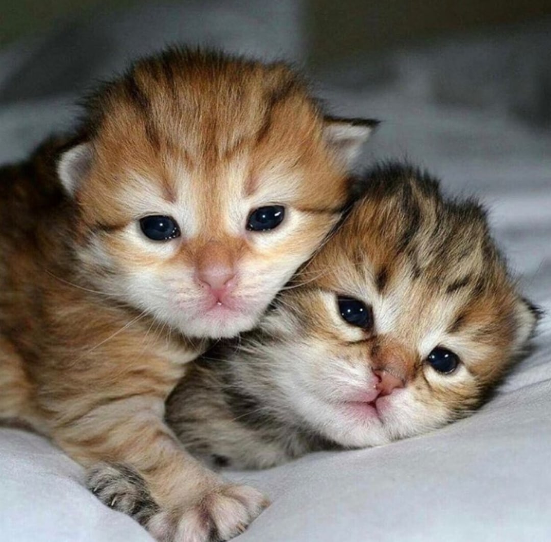 Жмёмся мы друг к дружке, оттого что страшно