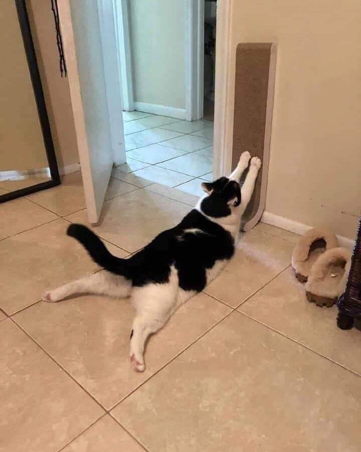 Лень когти драть, но надо