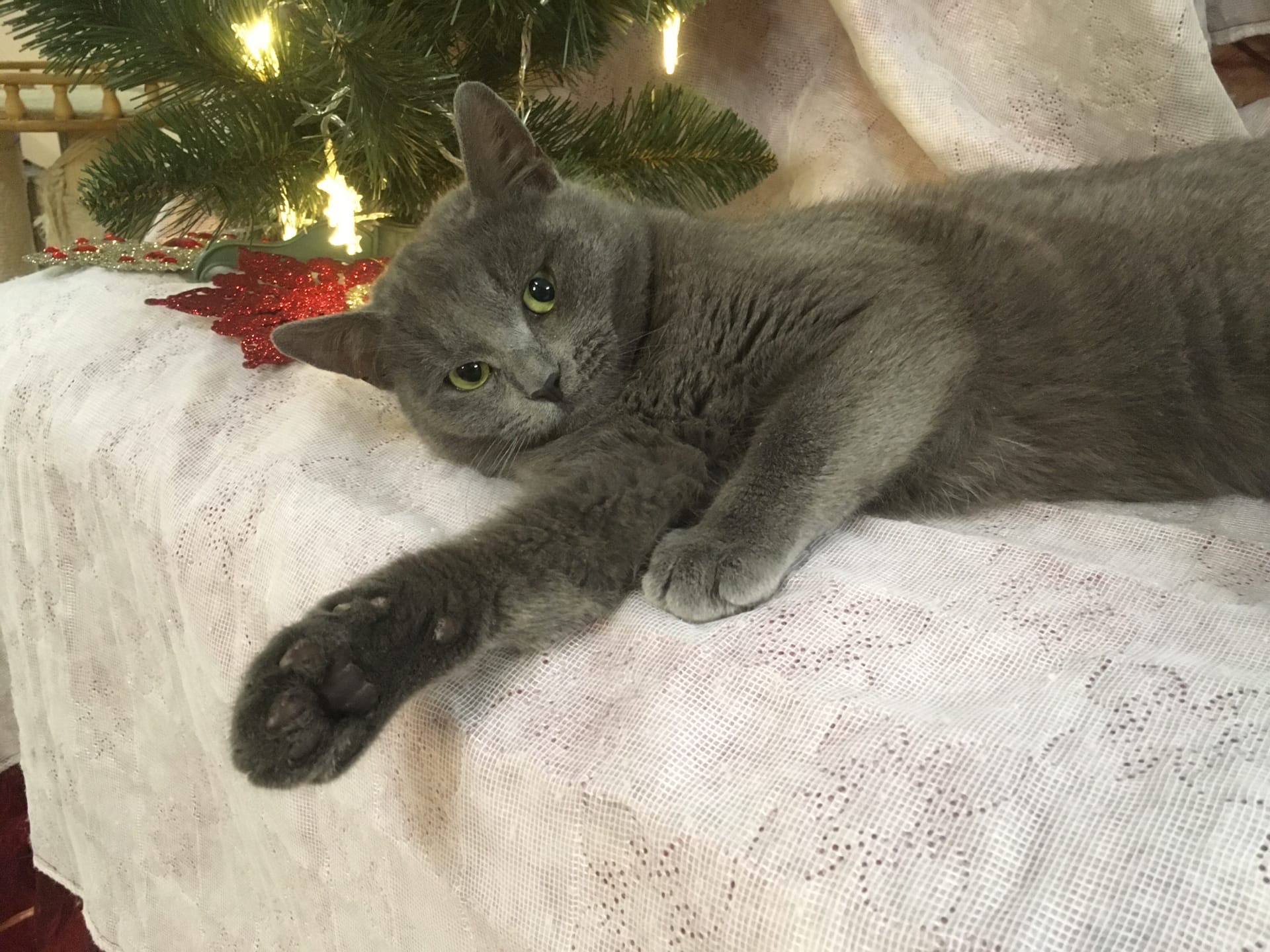 Когда уже, этот Новый год наступит, спать хочется