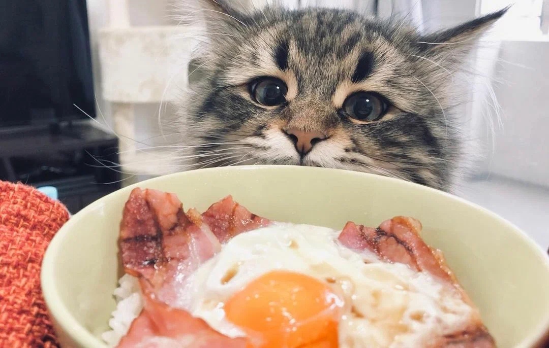 Ах, какое искушение