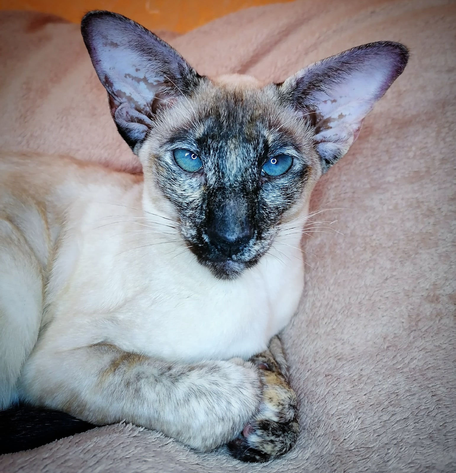 Будете с работы идти, не забудьте творожку прикупить