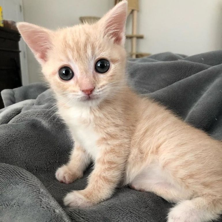 Кто посмел, меня разбудить