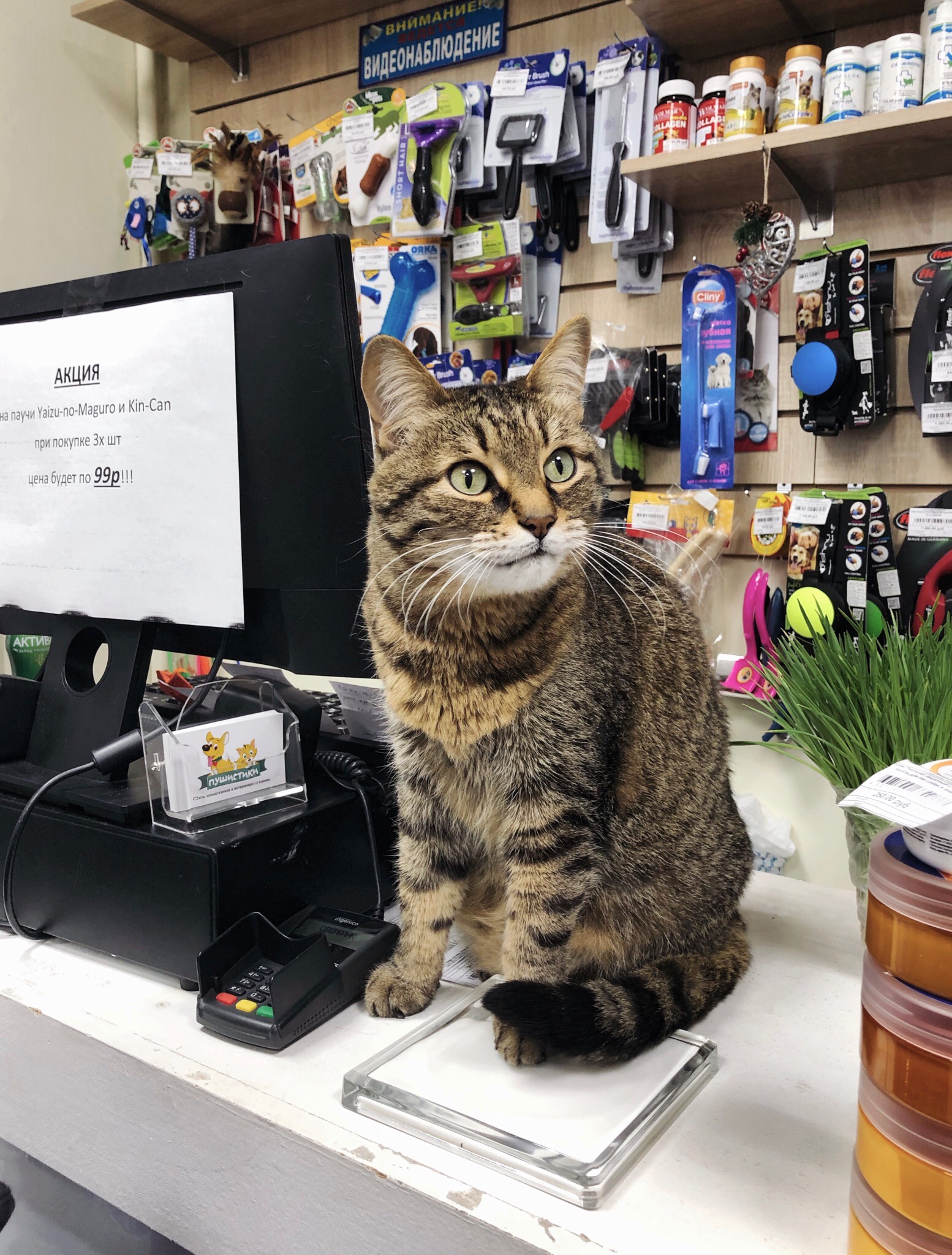 Подходим, покупаем, я подскажу, что надо