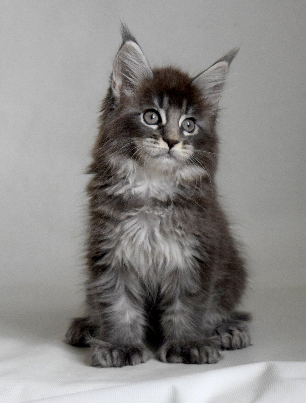 Планы на сегодня - ничегонеделание