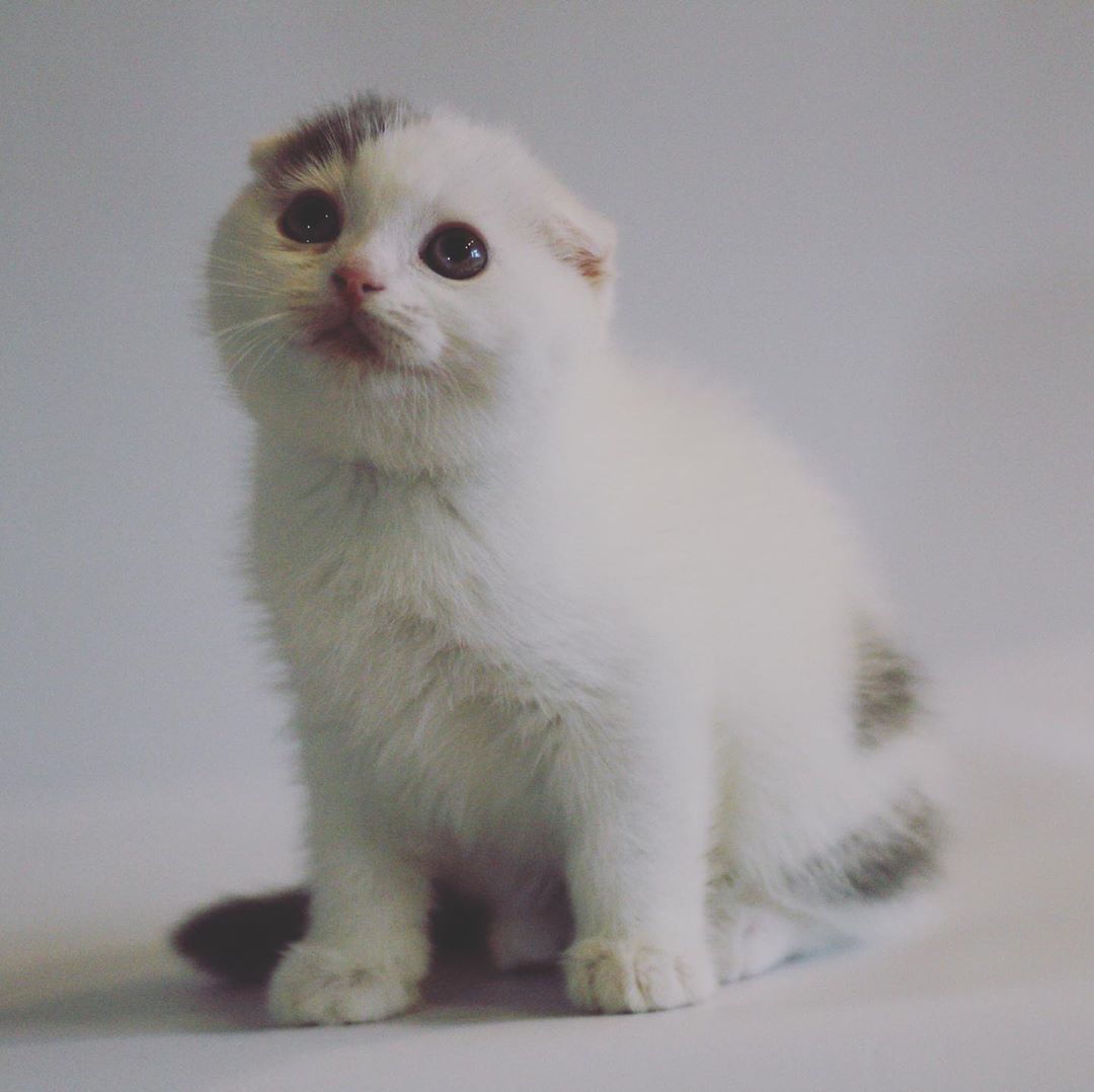 Что - то сегодня, никто не спешит меня нянчить