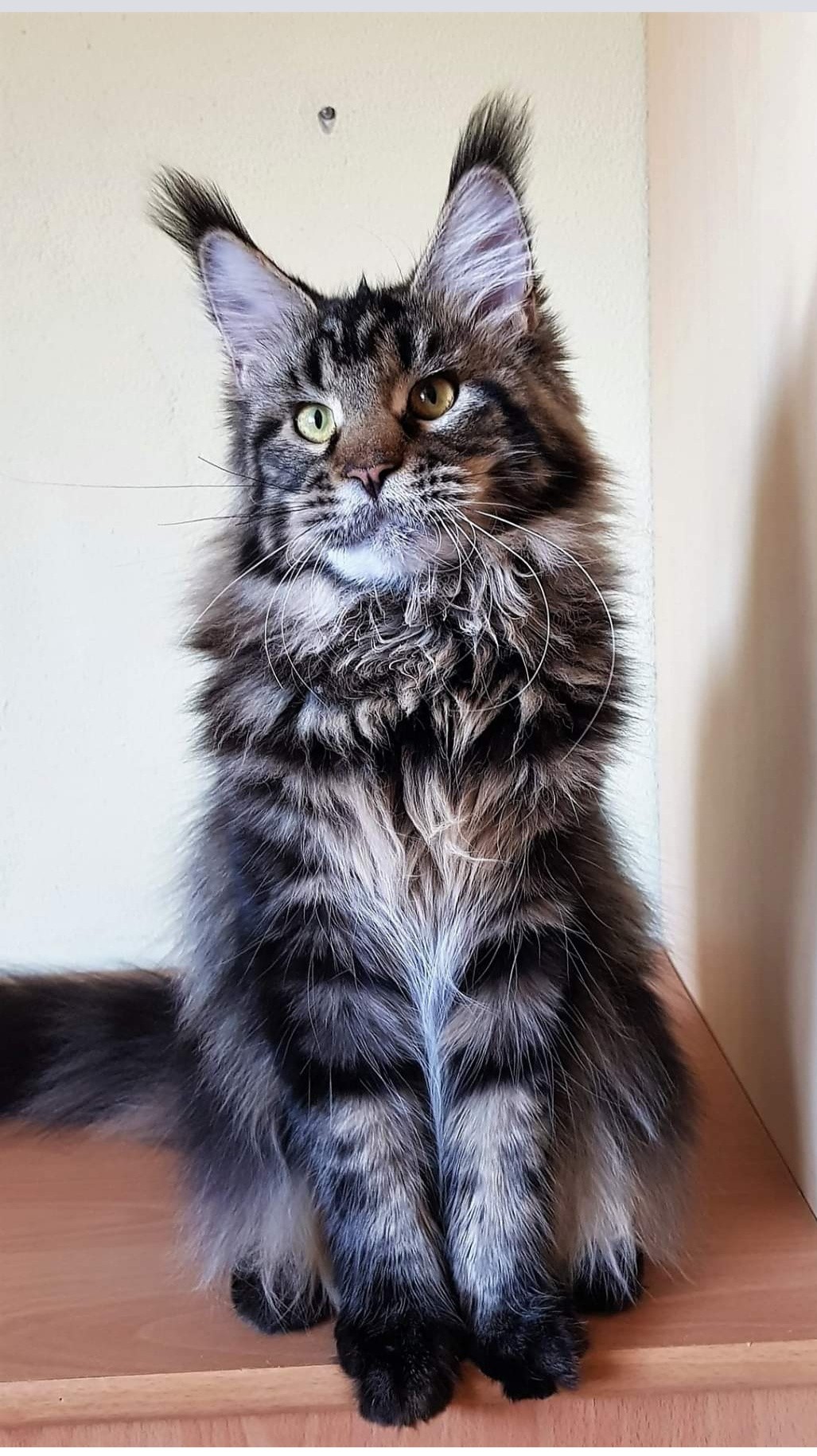 Хочу чего - нибудь вкусненького на завтрак