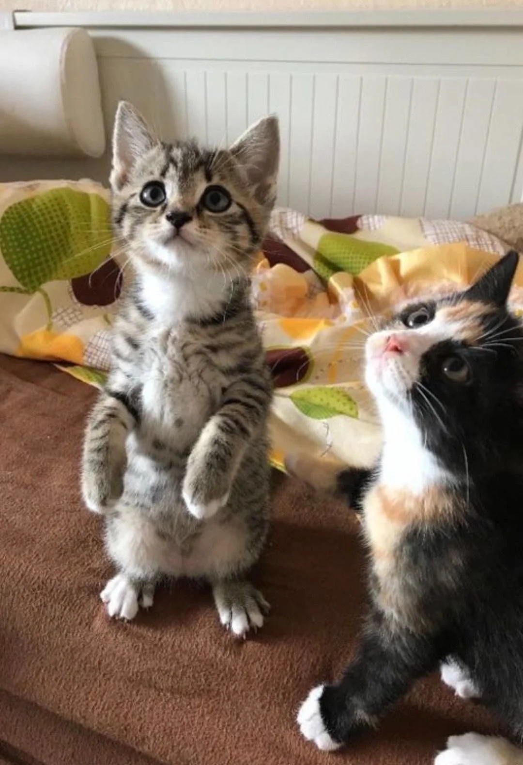 Мы хотим, чтобы нас понянчили