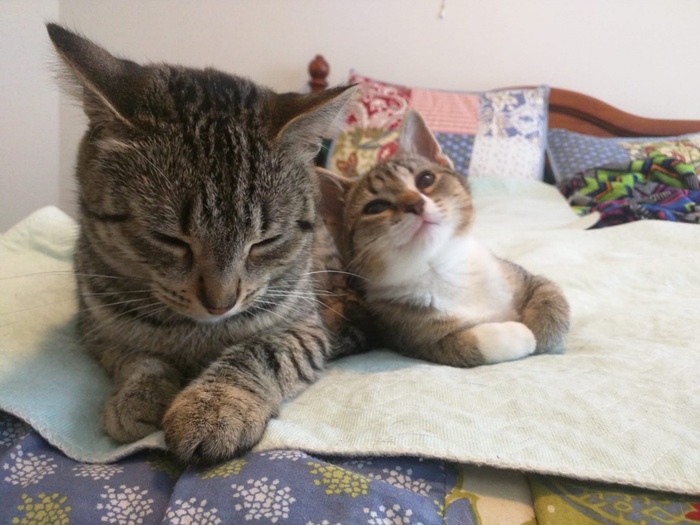 Пап, а наловил бы ты - рыбки