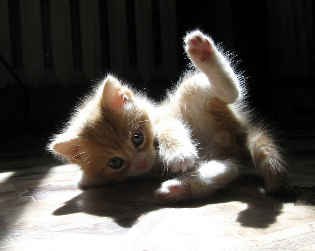 Хочу, чтоб загар был везде