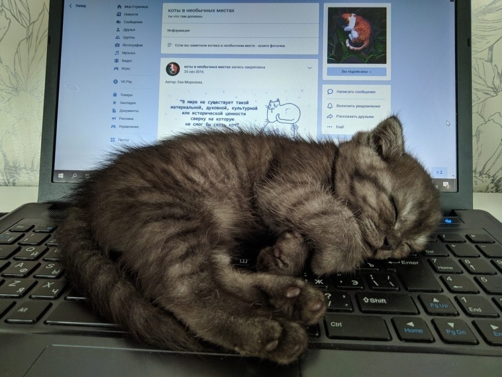 Умные мысли - так, утомляют