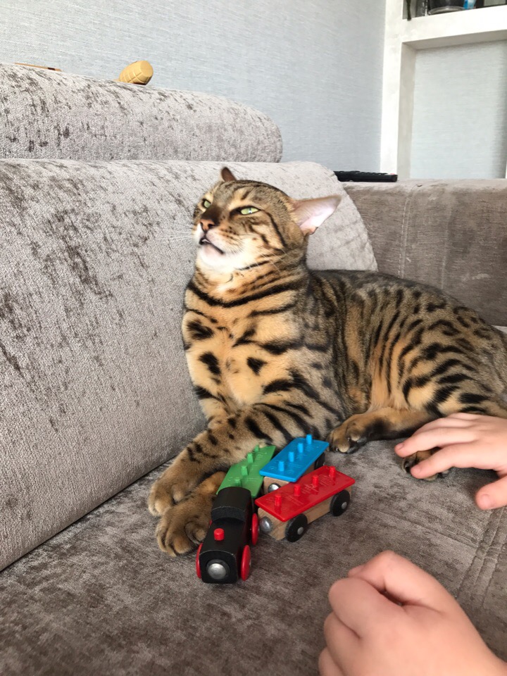 Не буду, я с паровозиком играть, даже не простите