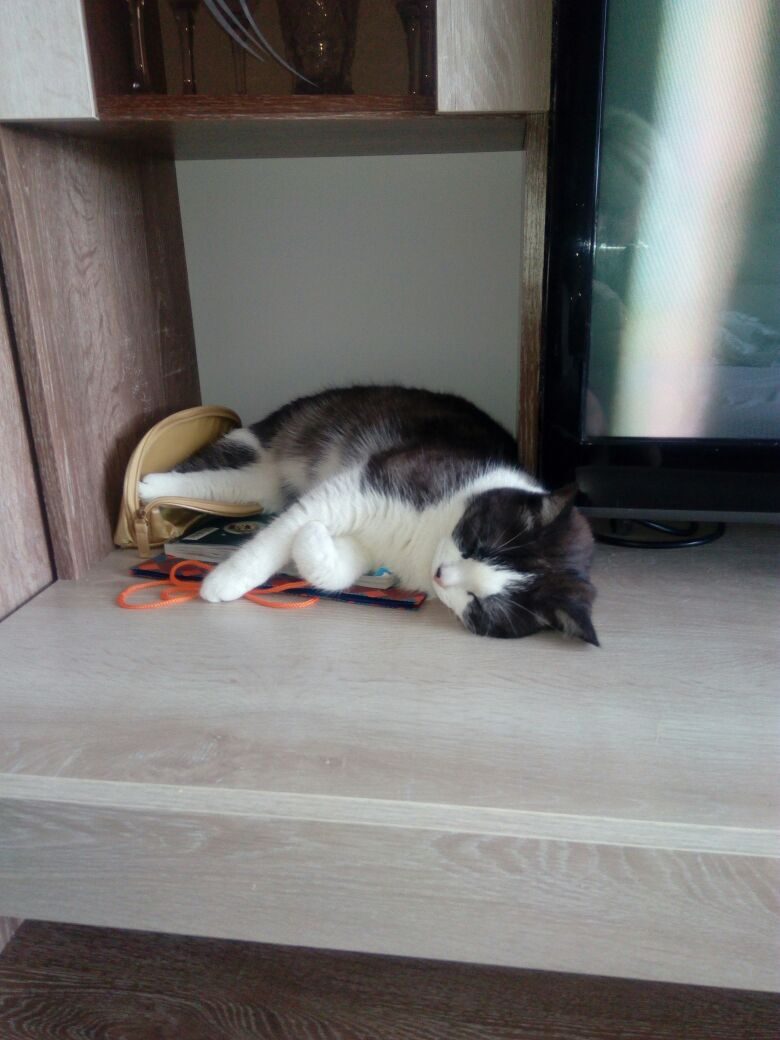 Когда хочется спать, то неважно - где и как