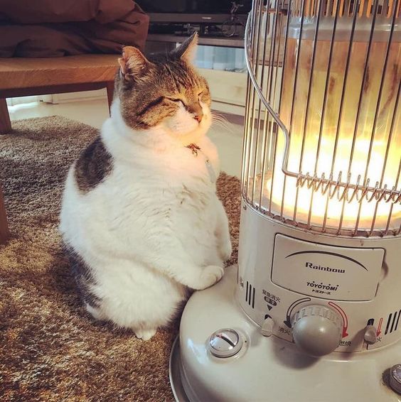 Печка, я от тебя балдю