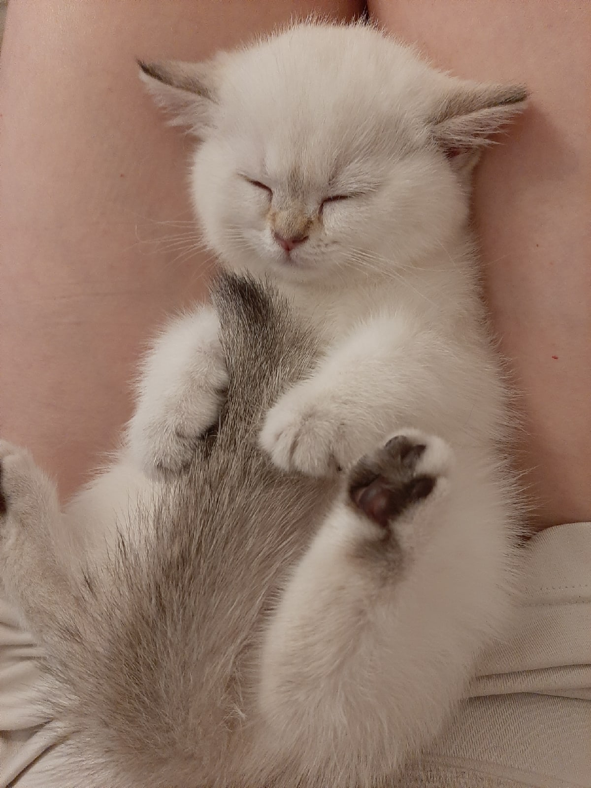 Не шевелитесь, у меня чуткий сон