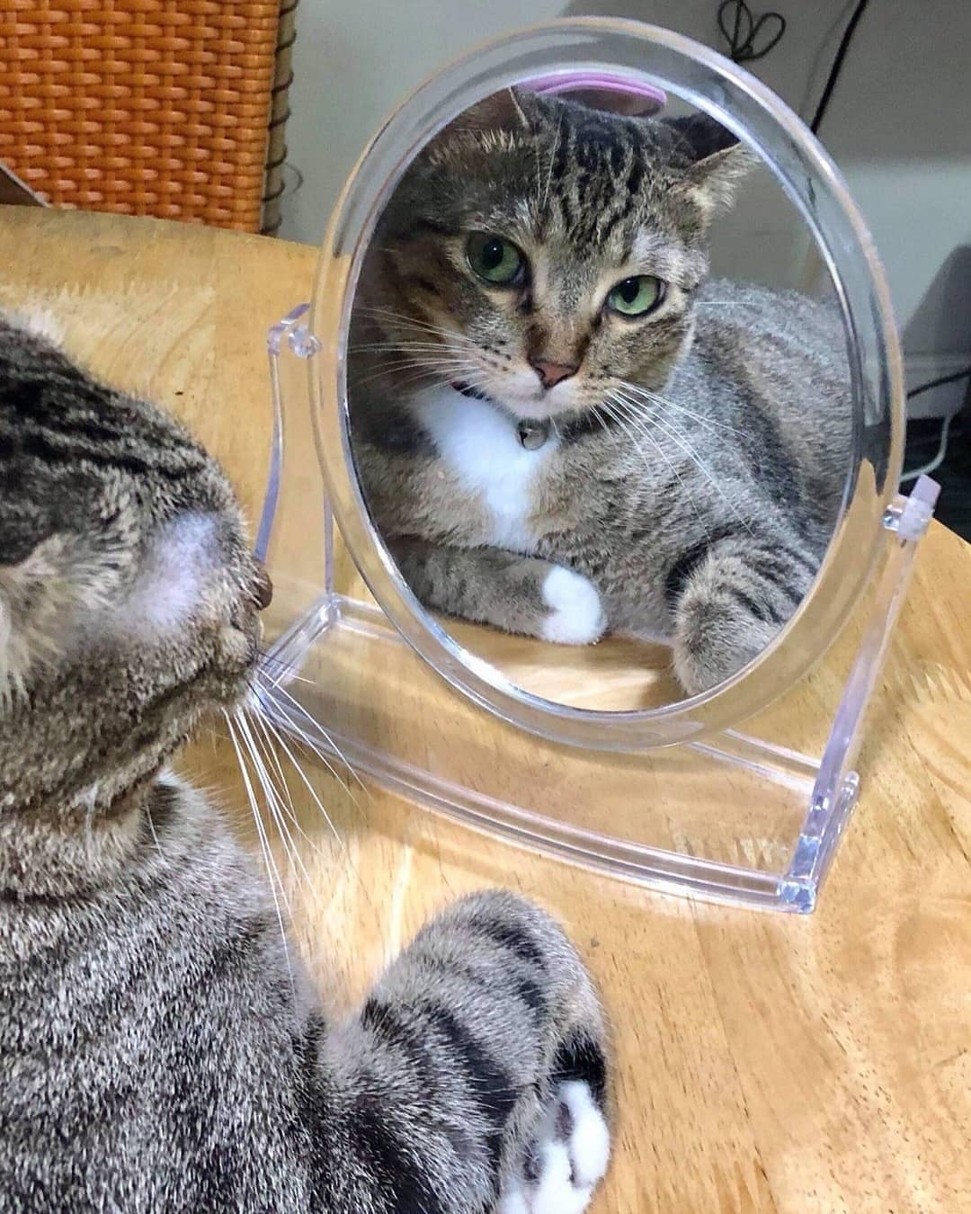 Красотка, глаз не отвести