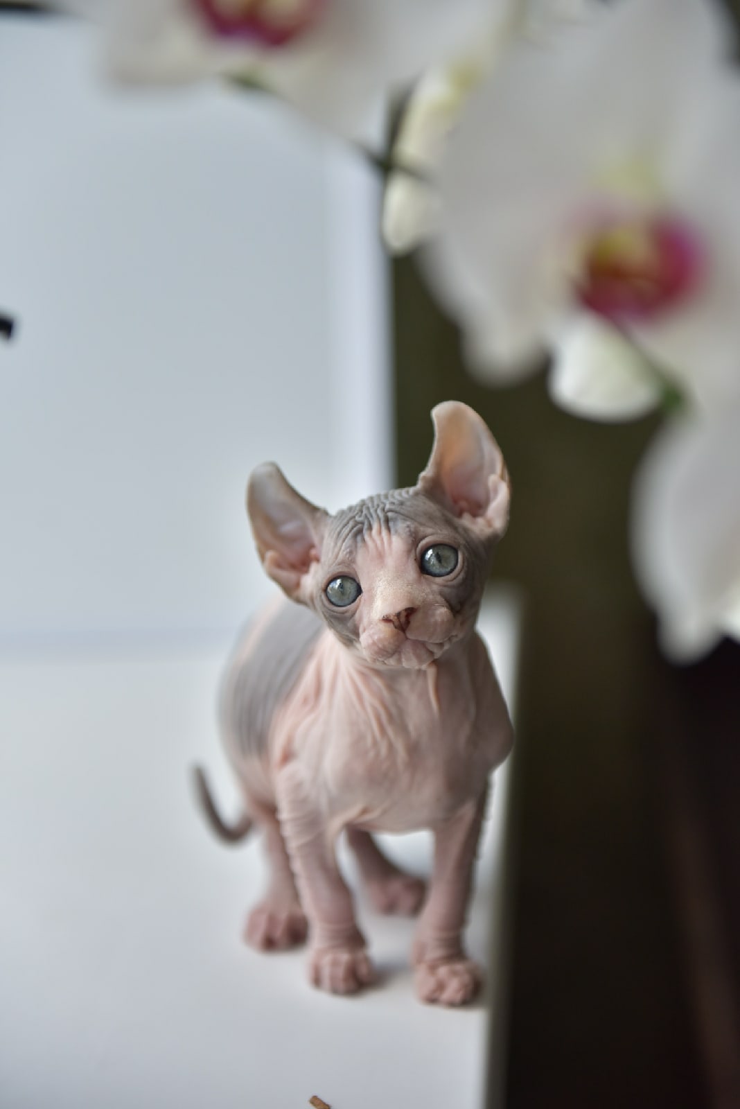 Я соскучилась по обнимашкам