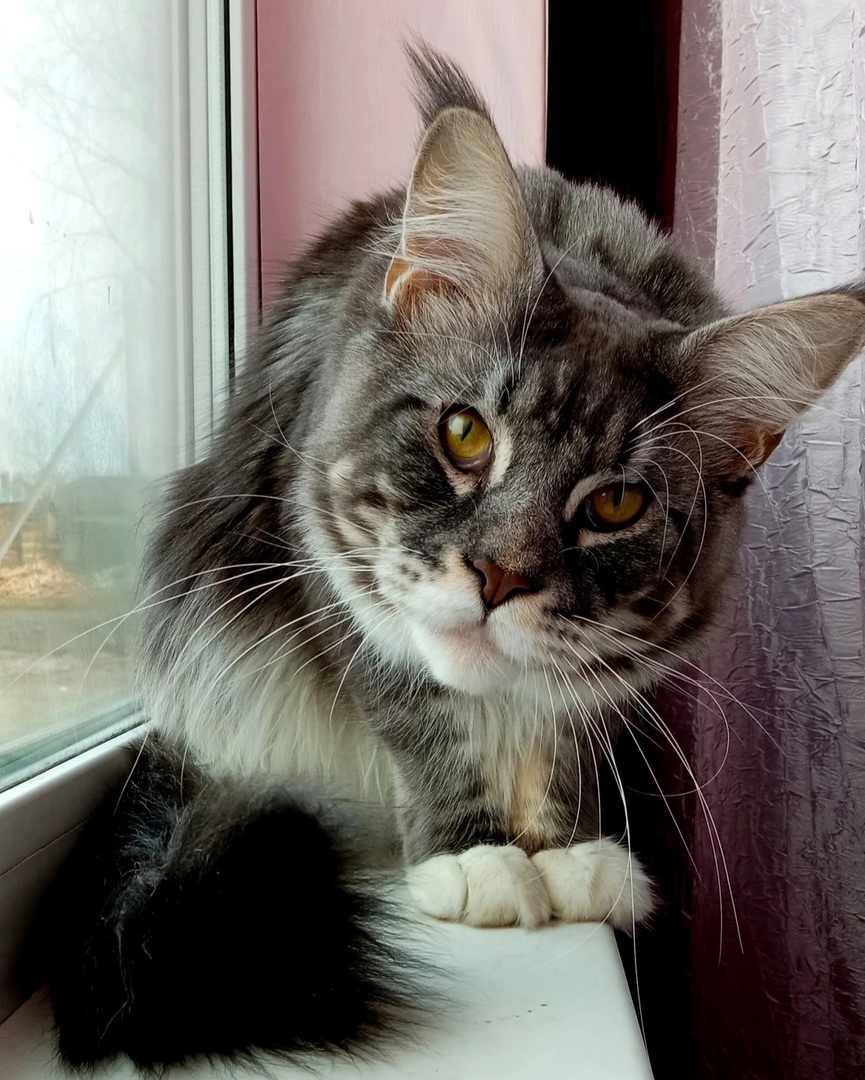 На улице плохая погода, может на работу не пойдёте