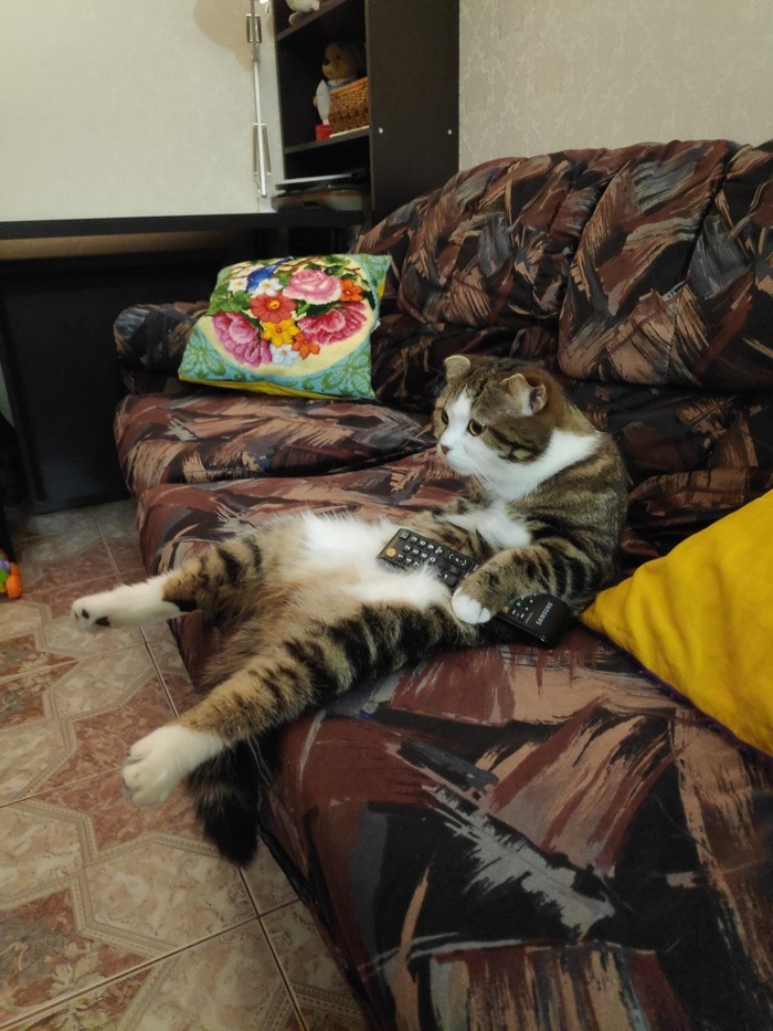 Люблю смотреть - брачные игры животных