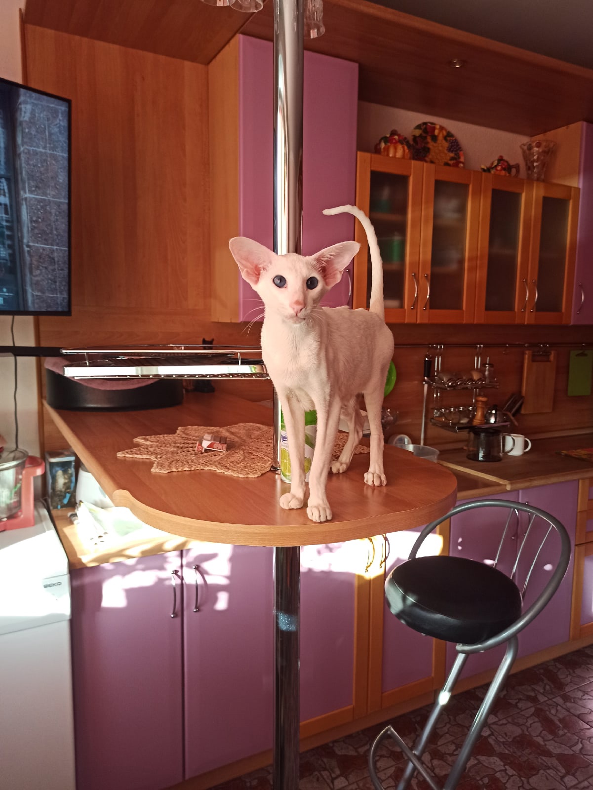 Хозяева, выходной - выходным, а у меня обед по расписанию