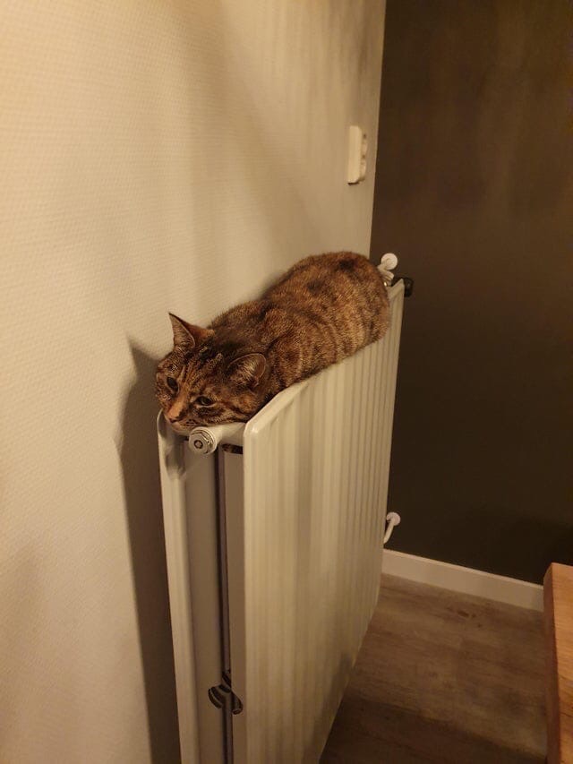 Наконец - то, есть где греться