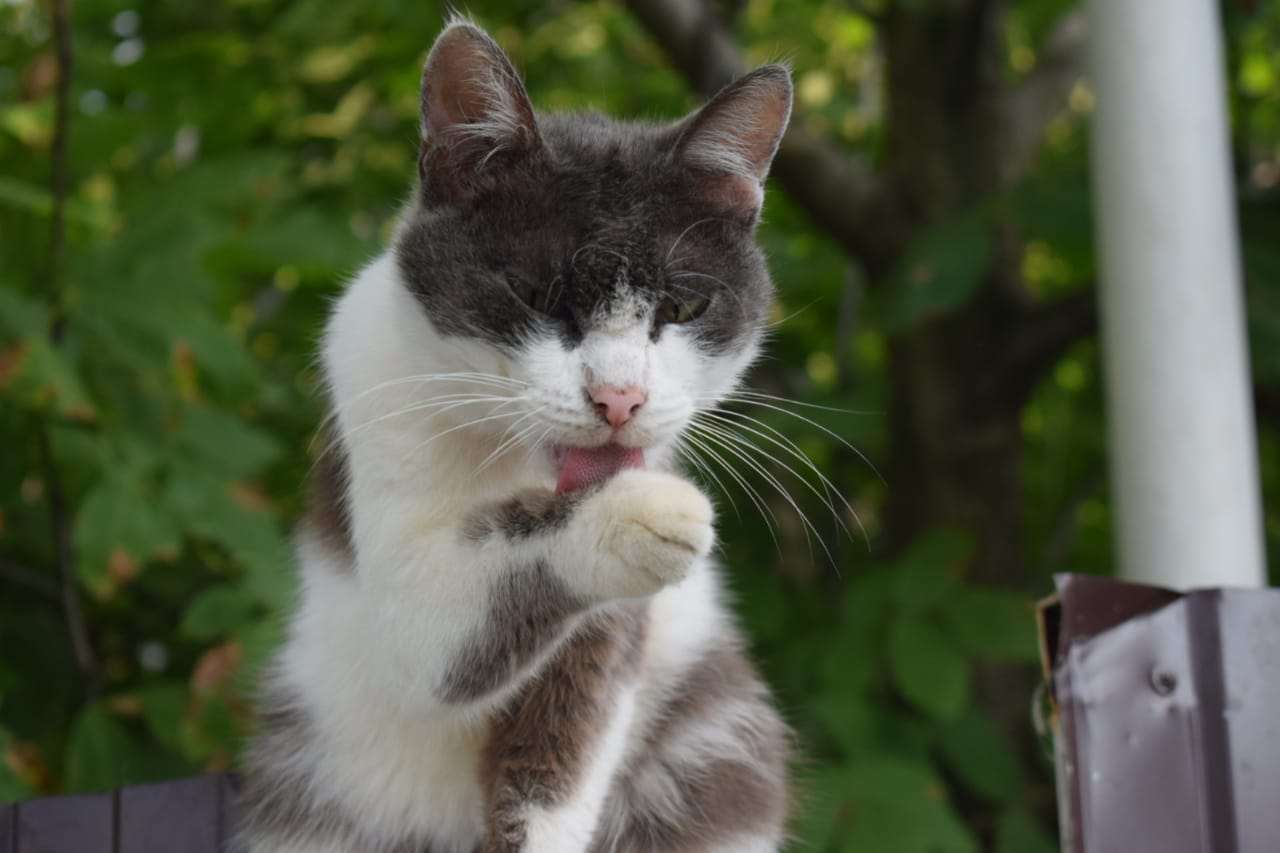 Надо, надо умываться - по утрам и вечерам