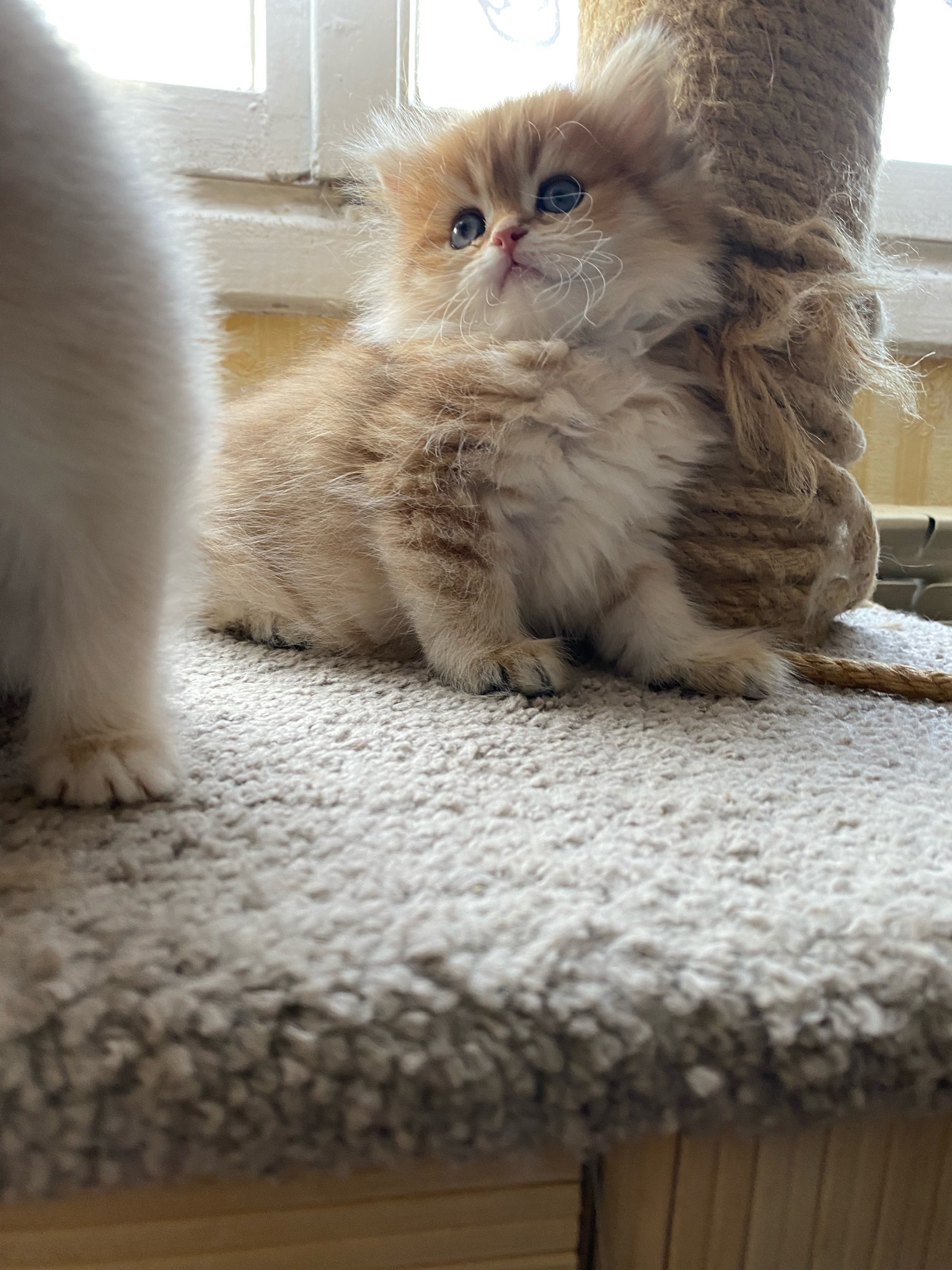 Ну и что, что хулиган, зато симпатичный