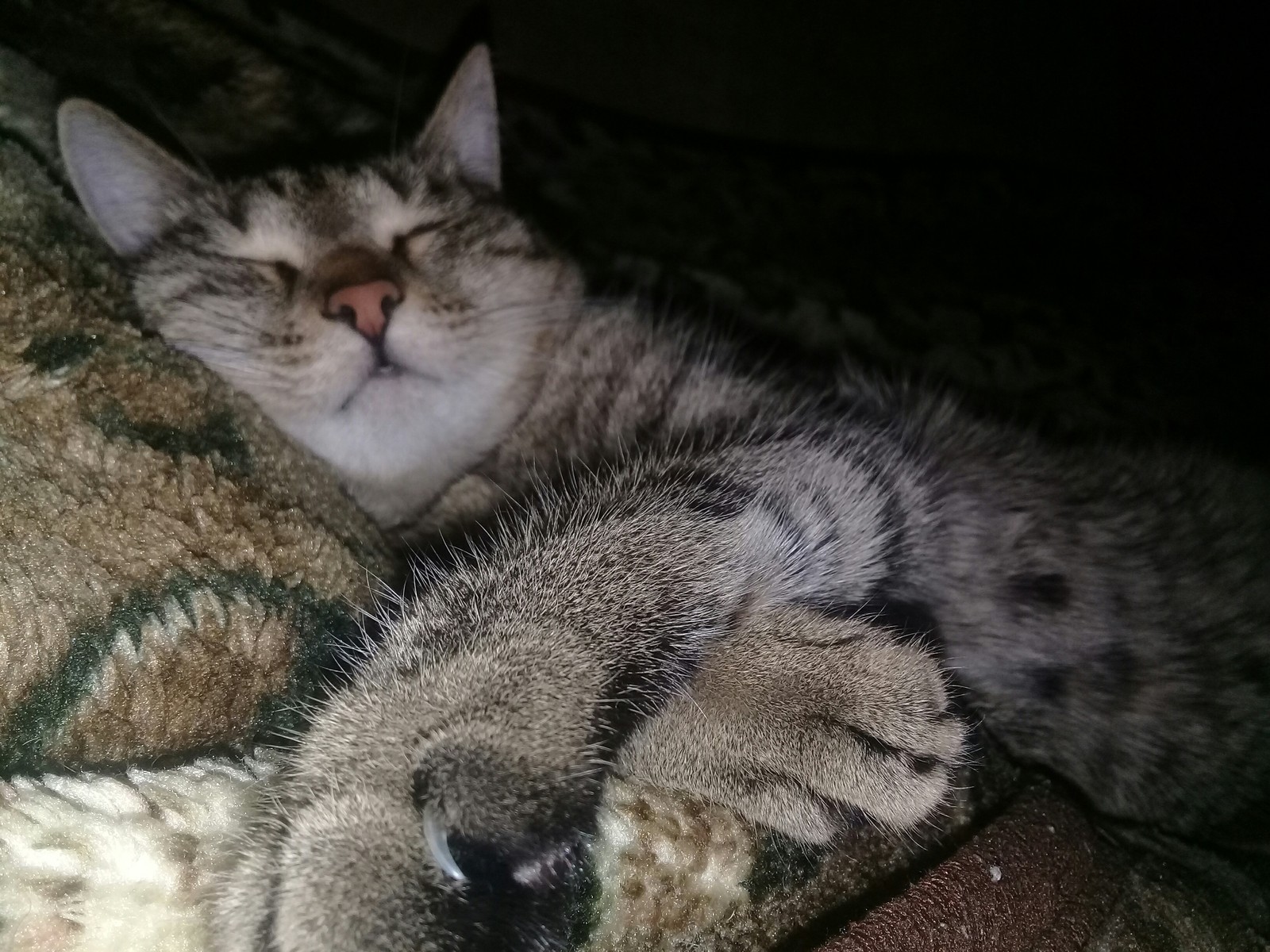 Ночь нужна для того, чтобы спать