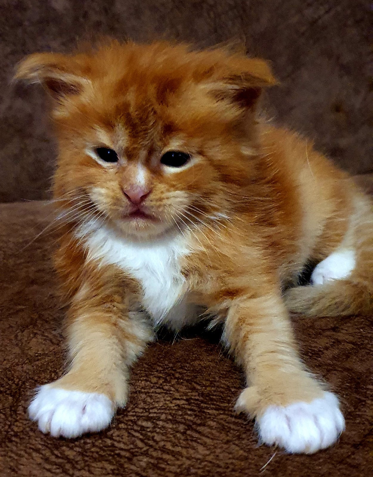 Ничего, я не хочу