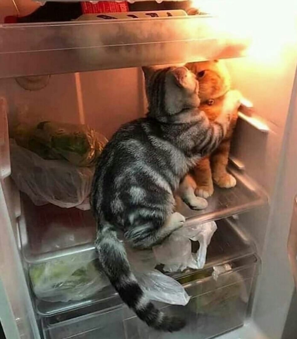 Нас тут никто не найдёт, наверно