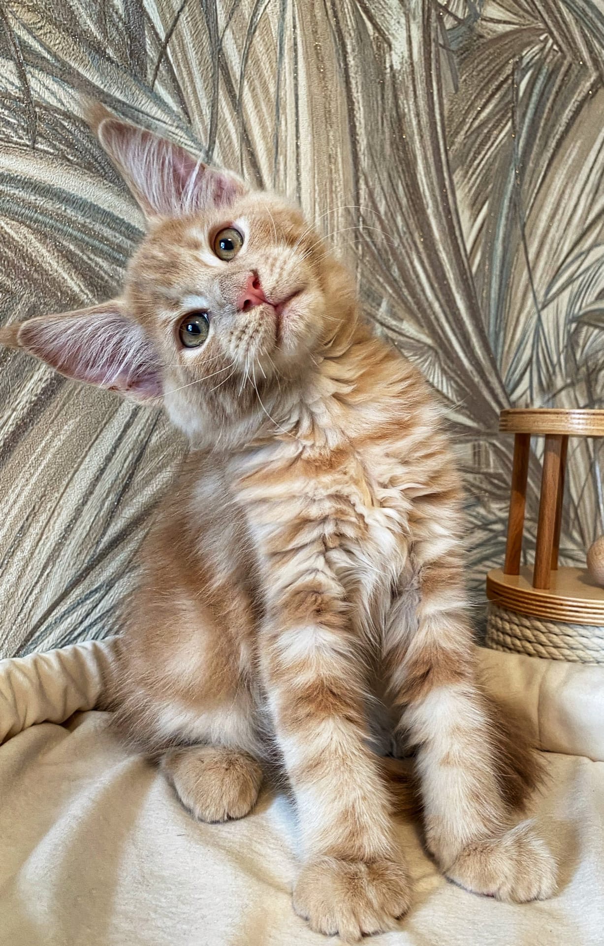 Всем привет, я выспался