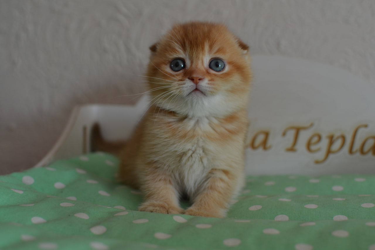 Кто, всю ночь храпел и мне спать не давал