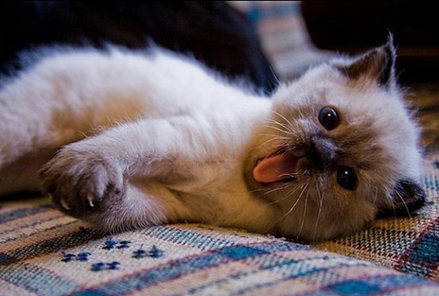 Спать хочется, гасите свет