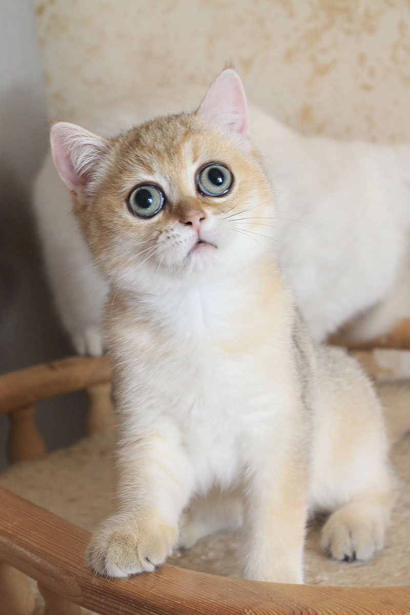 Я хочу спать, кто меня убаюкает